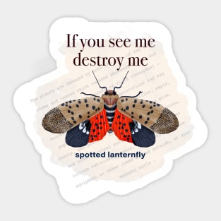 Spotted Lanternfly Sticker